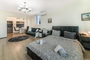 Sunny Sofia Studio #1