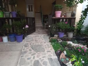 La casa de las flores