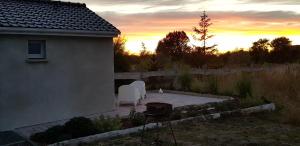 B&B / Chambres d'hotes L Hyppo Camp' : photos des chambres