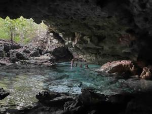Lush Tulum Rooftop Condo with Ensuite Pool & Wifi