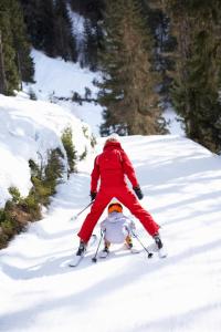 Chalets La Fleche 2 de Super Besse - Chalet de Standing : photos des chambres