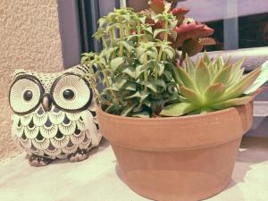 La Ferme dAntan Baie de Somme