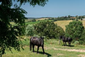 Maisons de vacances Chaumarty Ecogites© : photos des chambres