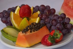 Bristol Metropolitan Curitiba Centro