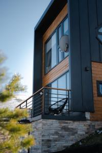 Wild nest Zlatibor Bear