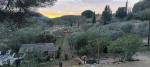 Villas Villa CIGALONS en pleine pinede avec PISCINE chauffee de mai a septembre : photos des chambres