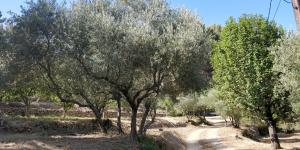 Villas Villa CIGALONS en pleine pinede avec PISCINE chauffee de mai a septembre : photos des chambres