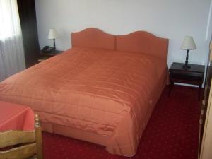 Double Room room in Hotel Am Ufer