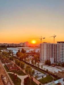Botanic Nest Panoramic Studio