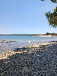 Apartmani Tanja Pridraga