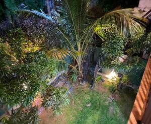 Niro Home Kamburugamuwa