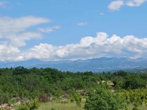 Apartmani Tanja Pridraga