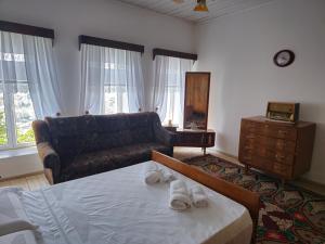 Traditional House & Rooms Shapllo