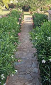 Résidence Fiori di Cala Rossa