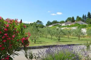 Maisons de vacances gite le moulin : photos des chambres