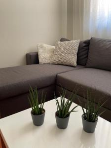 B&B / Chambres d'hotes La villa des Amandiers : photos des chambres