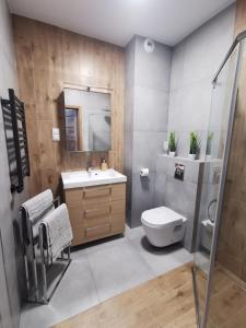 Apartament Apres Ski