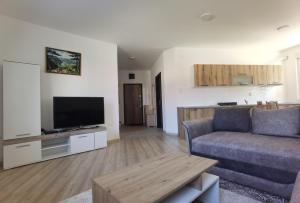 Apartman Romansa Banja Koviljaca