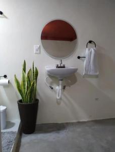 La Casa de los Cactus 8