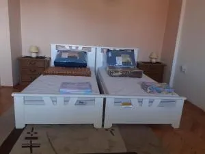 NIKOLIĆ APARTMAN - Prilepnica