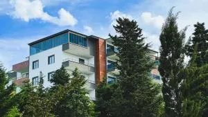 Next Suite - Zafanos