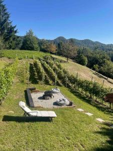 Robinson "Mountain getaway" for Rest and Recreation sorrounded by Nature-PET FRIENDLY