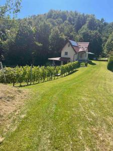 Robinson "Mountain getaway" for Rest and Recreation sorrounded by Nature-PET FRIENDLY