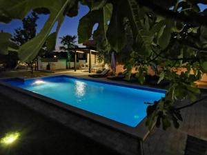 Apartment with pool Adria