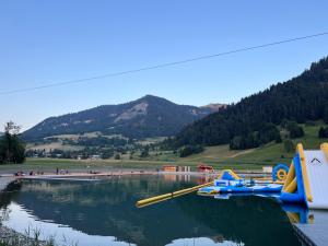 Appartements Studio face aux pistes : photos des chambres