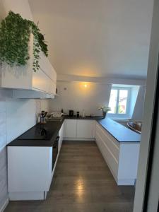 Appartements La Petite Place Lille St Maurice : photos des chambres