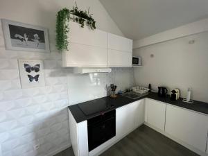 Appartements La Petite Place Lille St Maurice : photos des chambres