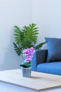 Appartements La Fabrique de Nicolas, 2 bedrooms, central, parking nearby, self checkin : photos des chambres