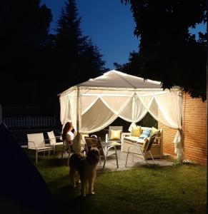 Casa de Mirtha - Campsites, Madrid