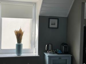 Maisons d'hotes La Part des Anges 29 - Maison d'hotes et Table epicurienne : Chambre Double avec Salle de Bains Privative