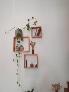Eden - A Charming Leafy Escape near Dining & CBD