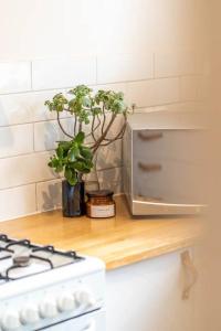 Indulge at Glenelg North