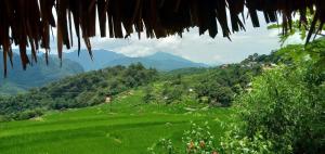 Green Hills Homestay