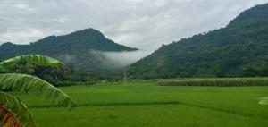 Green Hills Homestay