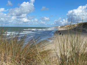 Maisons de vacances Maison Fort-Mahon-Plage, 2 pieces, 4 personnes - FR-1-730-43 : photos des chambres