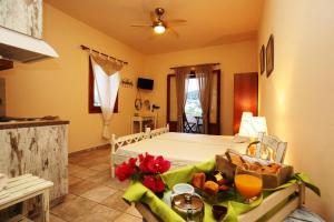 Ventoura Studios & Apartments Syros Greece