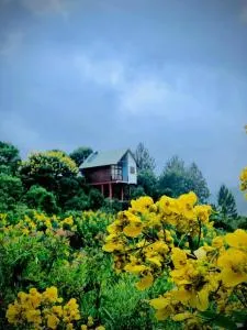 La Seran Eco Resort - Buttala