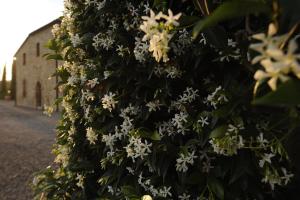 Agriturismo La Peschiera