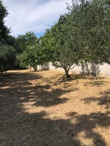 Villa Axelsson in Medulin