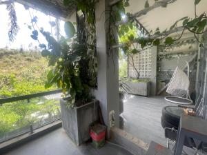 The Grandparents Homestay