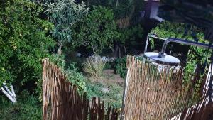 Xristinas Experience