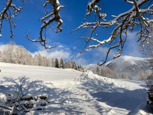 FW Aussicht Fam Sigl