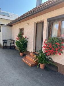 Apartman Anna 