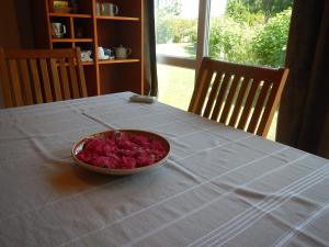 Galeria In The Garden