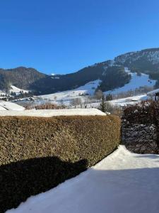 Appartements Charmant studio + jardin vue pistes et local velo : photos des chambres