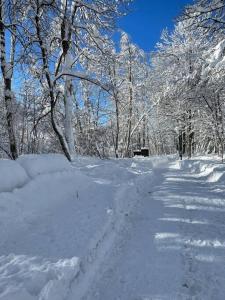 Appartements Charmant studio + jardin vue pistes et local velo : photos des chambres